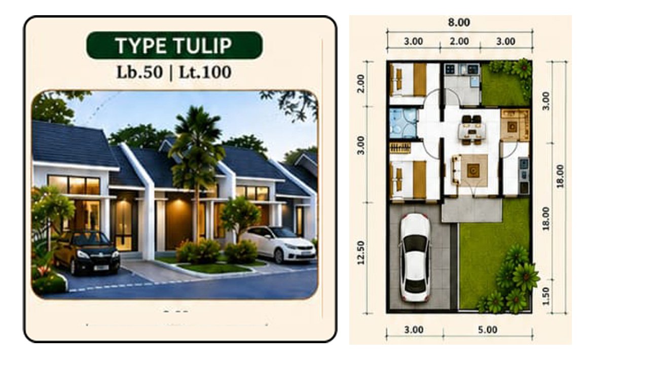 Tipe Tulip (45/100)